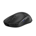 Pulsar X2 V2 Black