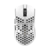 Arbiter Studio AKITSU Medium